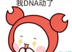 抖音谁的青春DNA动了是什么梗