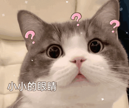 抖音两个人加起来八百个心眼是什么梗