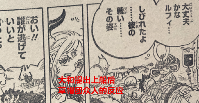 海贼王1051话：大和提出上船后，草帽团各自的反应，只有她最真实