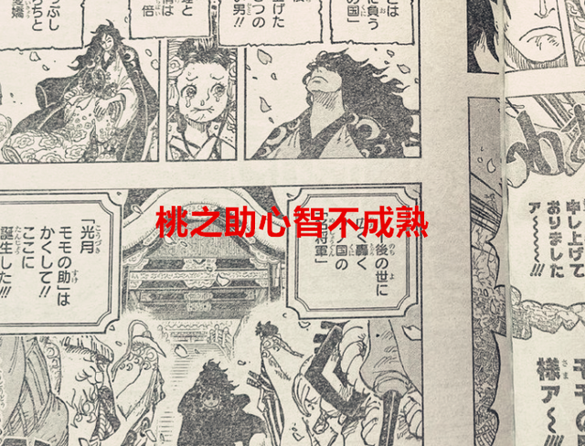 海贼王1051话：桃之助只是傀儡，小紫垂帘听政，他救走了凯多大妈