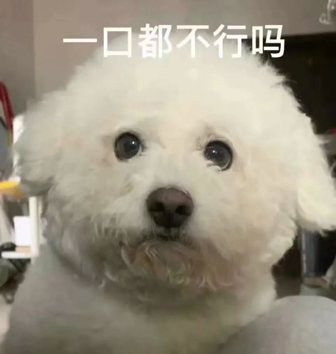 周一表情包系列 愉快的周一来了