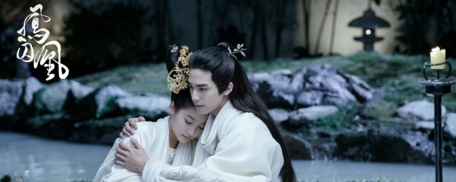 凤囚凰在哪个朝代有历史原型吗-电视剧凤囚凰简介