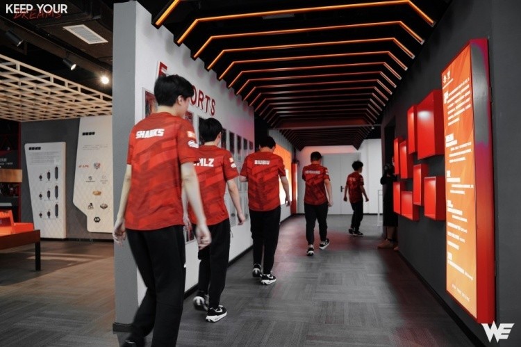 WE战队反向出名！四大联赛仅有WE目前夏季赛全败一胜难求！