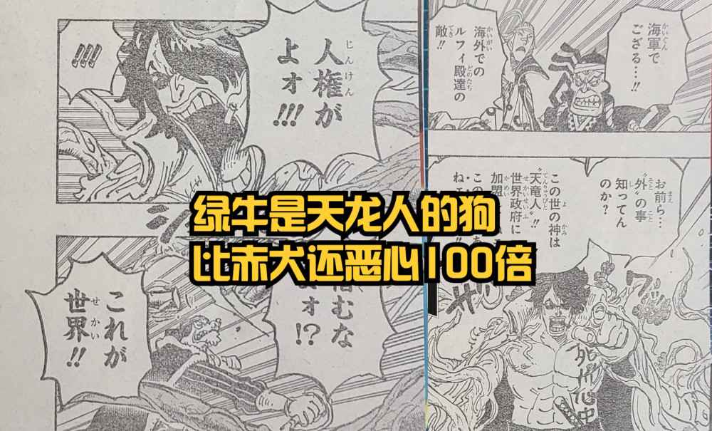 海贼王1054，绿牛是天龙人的狗，桃之助单挑大将失败被捆绑，有趣