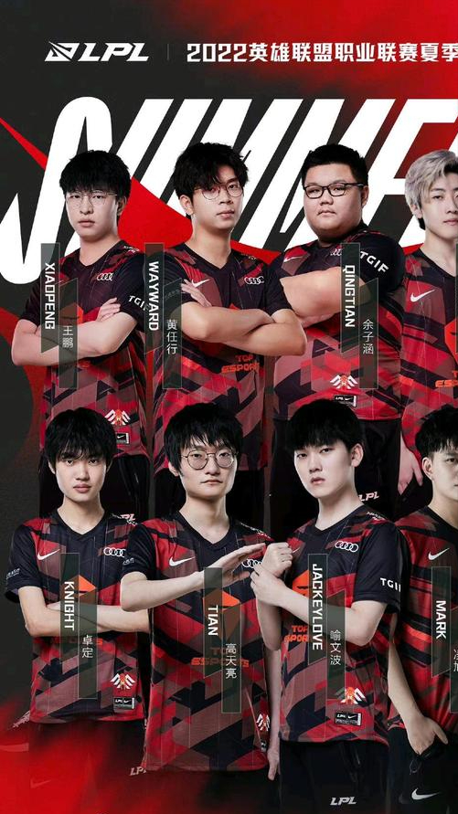 国人当自强！英雄联盟职业联赛的全华班战队