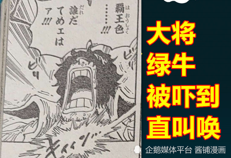 海贼王1055话分析，香克斯震晕了自己的船员，绿牛是大将中最弱与最怂的