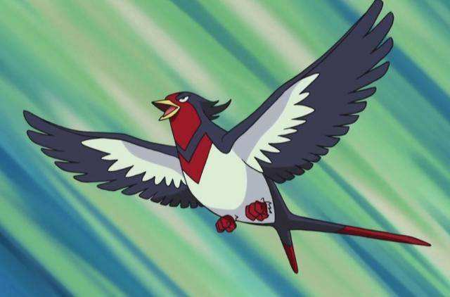 历代家门鸟的荣光，为何这些飞行系宝可梦，对战里也有不小的强度