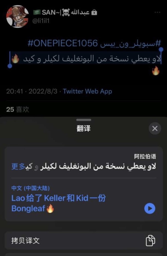 海贼王1056话情报：罗给基德一份历史拓本、冥王图纸被弗兰奇烧了