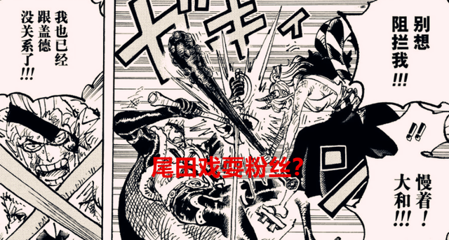 海贼王1057话：尾田戏耍粉丝？大和恐怕会组建一支超女帝团的队伍