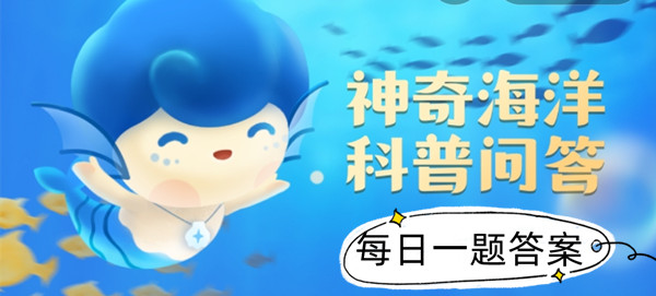 抹香鲸为什么叫抹香鲸-神奇海洋科普问答8月30日课堂答案