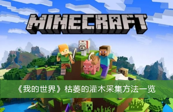 我的世界枯萎的灌木怎么采集-我的世界枯萎的灌木采集方法一览