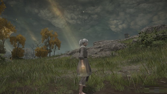 艾尔登法环碎石圣印记获得方法-艾尔登法环碎石圣印记怎么获得