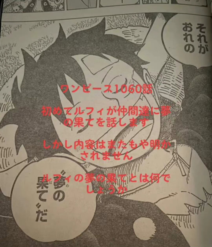 海贼王1060话情报，路飞知道萨博杀害寇布拉，但是他根本不相信
