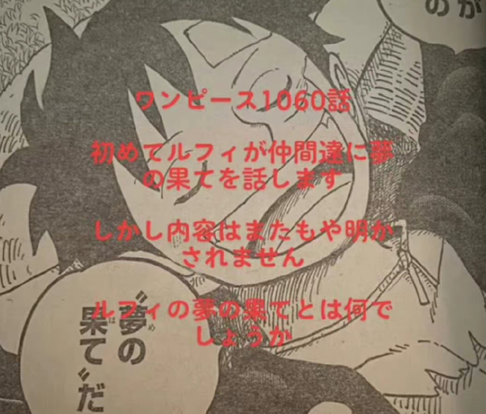 海贼王1060话追加情报：路飞要去找薇薇 索隆阻止反被其他人埋怨