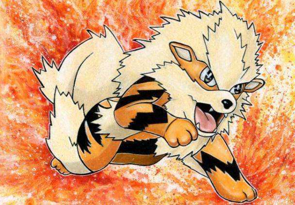 宝可梦世界里，感觉强大的火系，实则对战除御三家之外厉害的很少