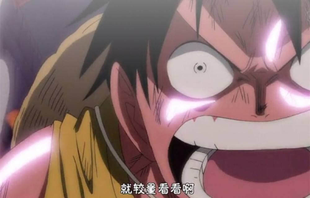 海贼王：血统无贵贱，意志分高下