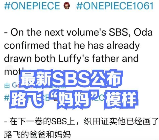 路飞的妈妈将在“最新SBS”公布？