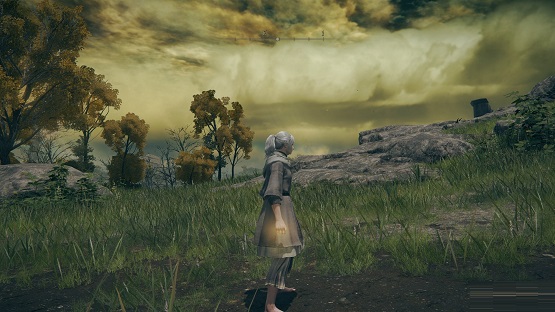 黄金律法圣印记获得方法-艾尔登法环黄金律法圣印记怎么获得