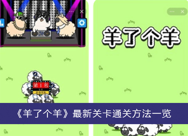 羊了个羊最新关卡通关方法-羊了个羊最新关卡通关方法一览