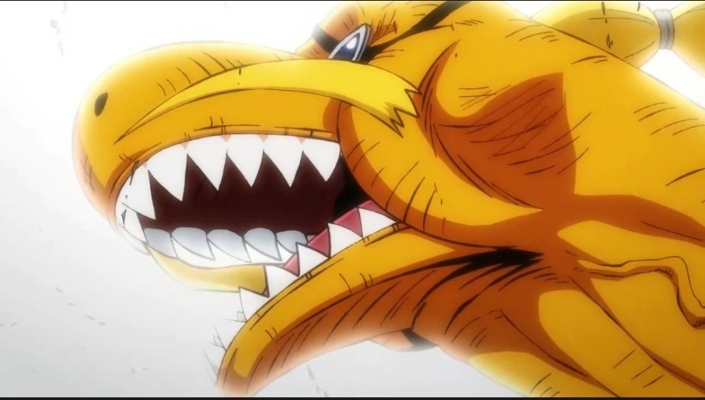 海贼王1034话动画，为什么桃之助说他不能死，难道有什么隐情？