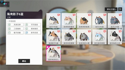 猫之城兑换码最新领取2022-2022猫之城兑换码大全