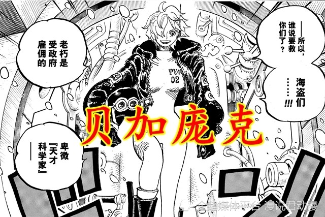 海贼王1061：少女版贝加庞克是人造人，本体可能都不在岛上