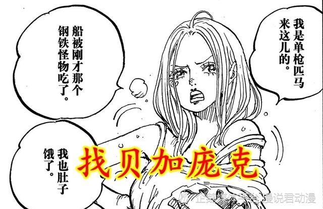 海贼王：波妮找贝加庞克原因，查明熊的真相，寻找复原之法
