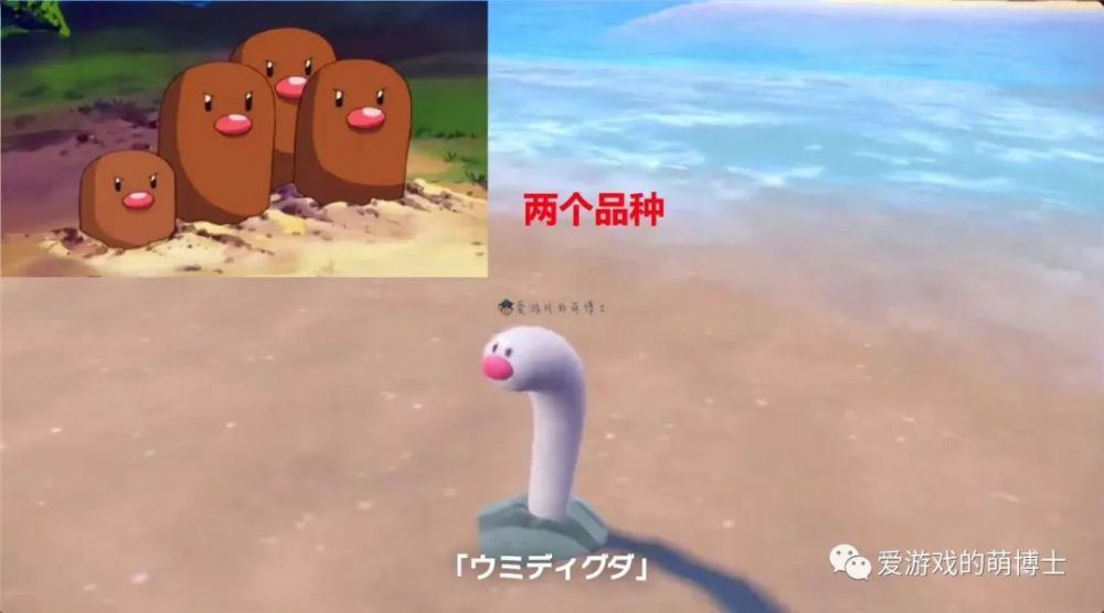 《宝可梦：朱/紫》玩家用生物学解释了地鼠与海地鼠之间的关系