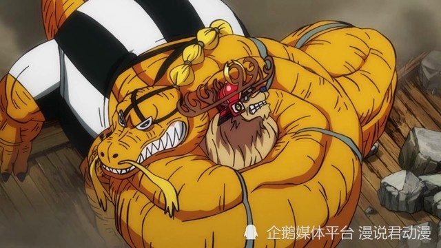 海贼王1035集：乔巴不畏副作用，强化身体鏖战奎因，结果船长败了