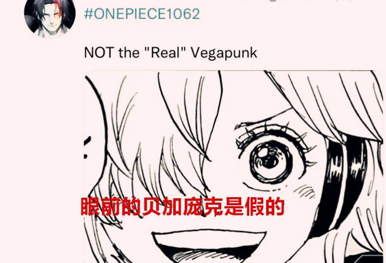 海贼1062话情报：贝加庞克居然是人造人？新的岛屿更像一个博物馆