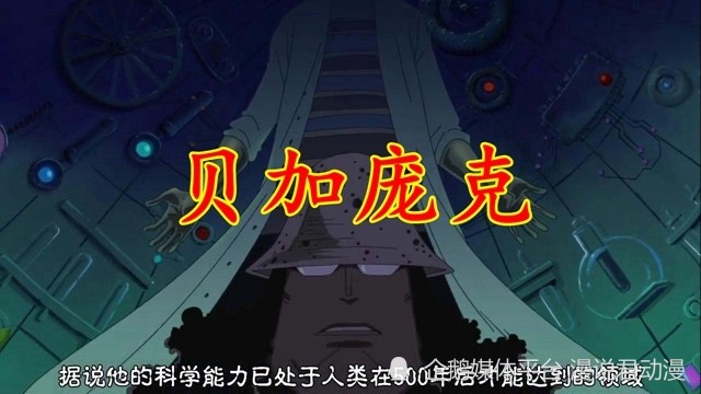 海贼王1062：CP0要刺杀6个贝加庞克，波妮和熊是父女关系