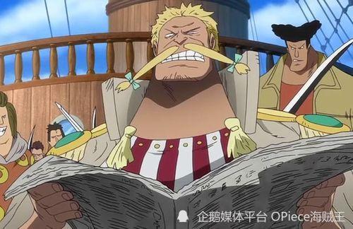 探索秘宝！著名海贼团的秘密寓意，义乌商品成海贼王隐藏武器？