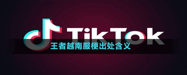 王者越南服是什么梗-抖音王者越南服梗出处含义