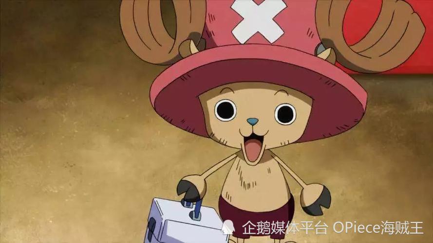 华佗在世？其中有人堪称不死！海贼王里的那些神医