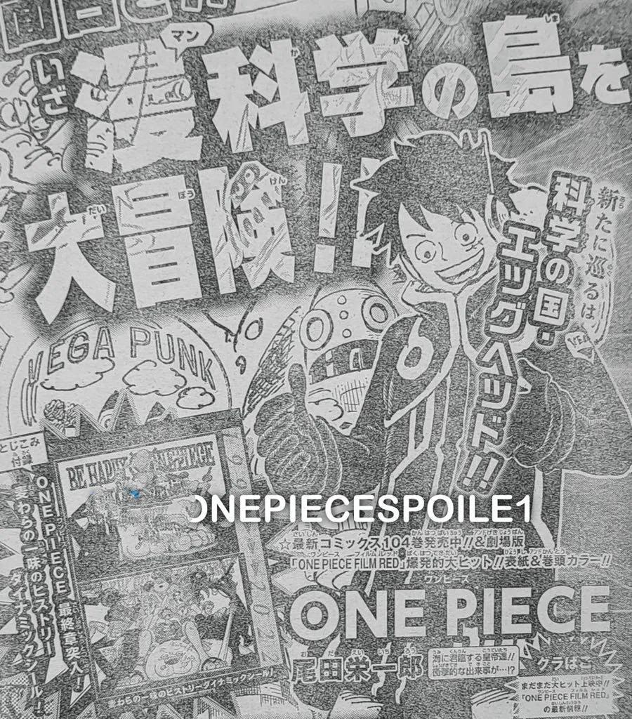 海贼王1065话情报：黑胡子击败罗，拿到历史正文，基德要行动了