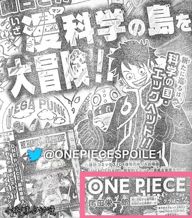 海贼王1065话情报：官方剧透四皇才是大海统治者，罗败给黑胡子了