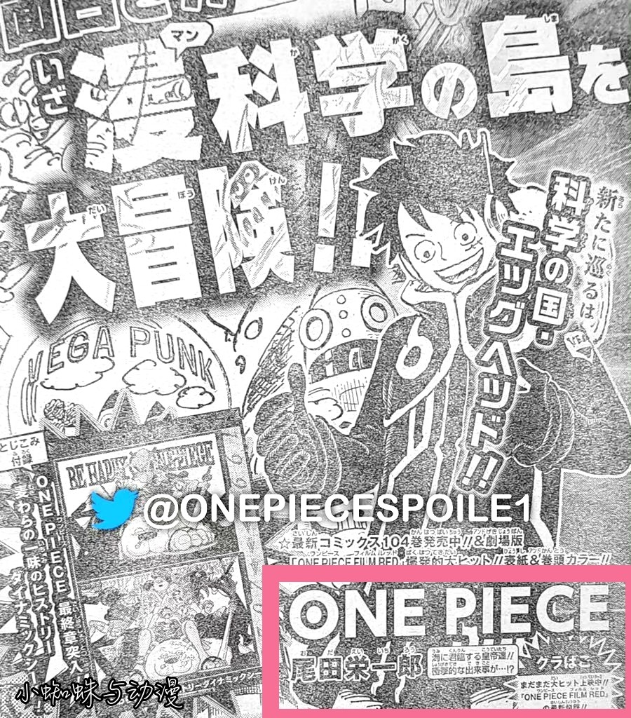 海贼王1065话情报：官方剧透四皇才是大海统治者，罗败给黑胡子了
