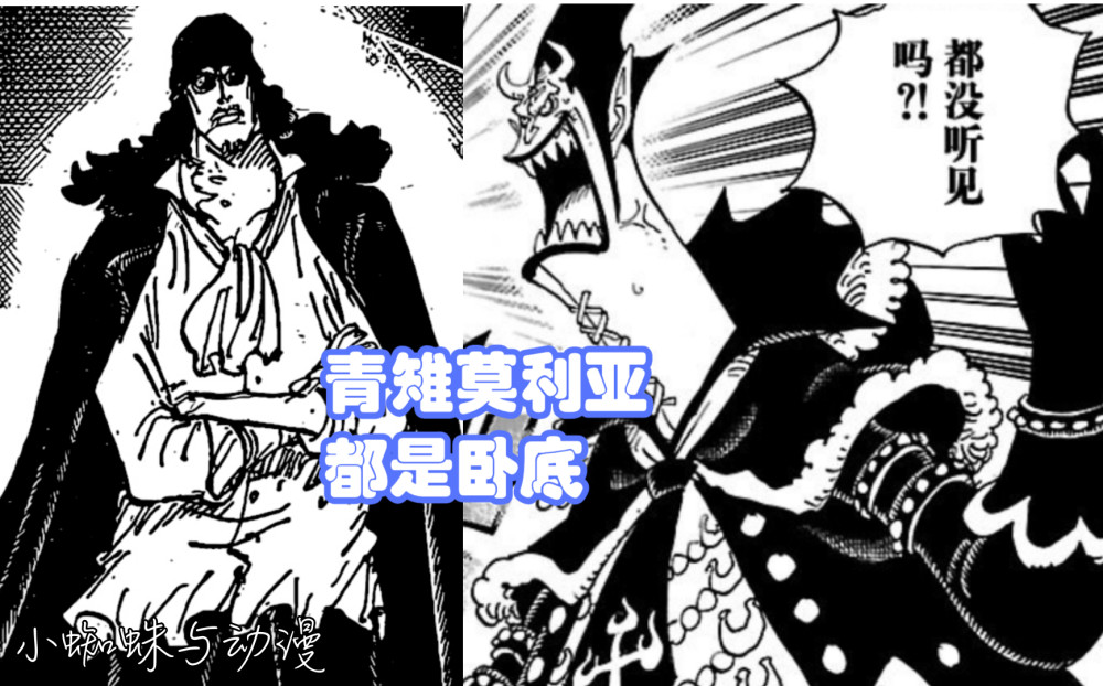 海贼王1064，青雉和莫利亚是卧底，他们会跟路飞一起击杀黑胡子