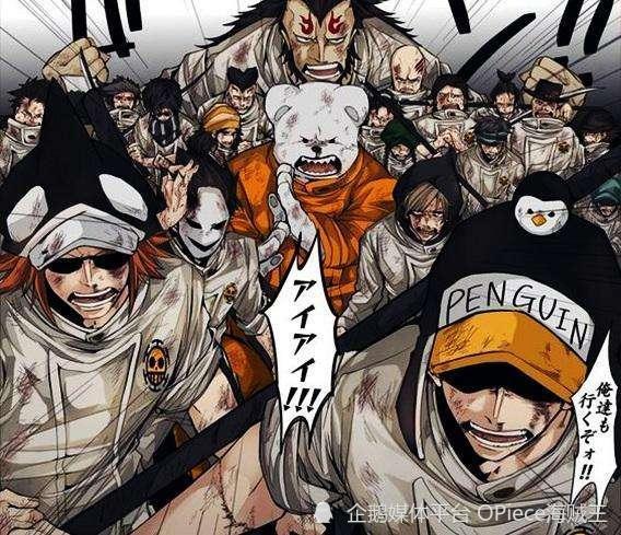 海上团战无敌？尾田又一伏笔！海贼王中心脏海贼团船员介绍