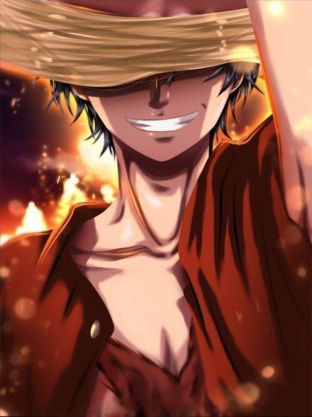 5本海贼王同人小说，海军的本分是什么？就是抓捕海贼