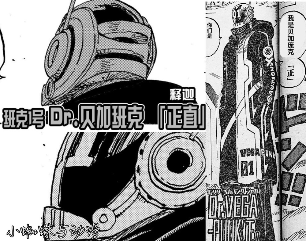 海贼王1065话：六个贝加庞克大揭秘！01是老大，06负责吃喝拉撒睡