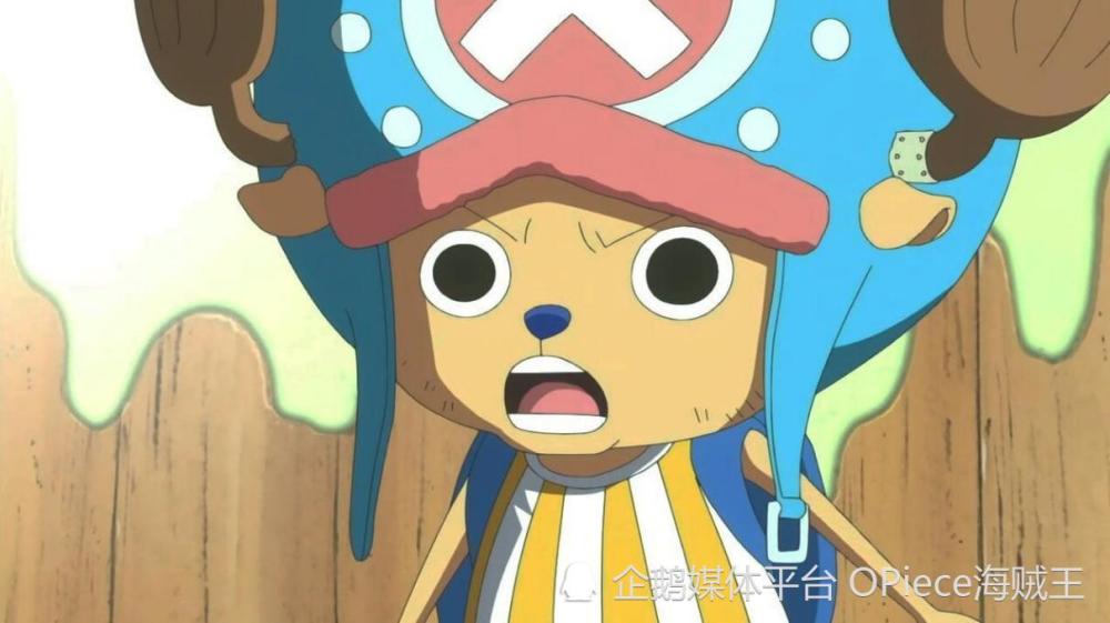 可爱到犯规！乔巴都不起眼？海贼王里的萌宠们！
