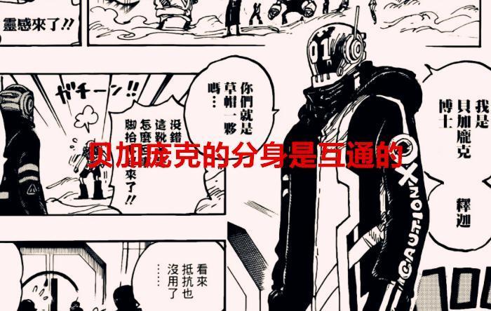 海贼王1065话：龙可能是贝加庞克零号分身，天王的秘密也要揭晓了