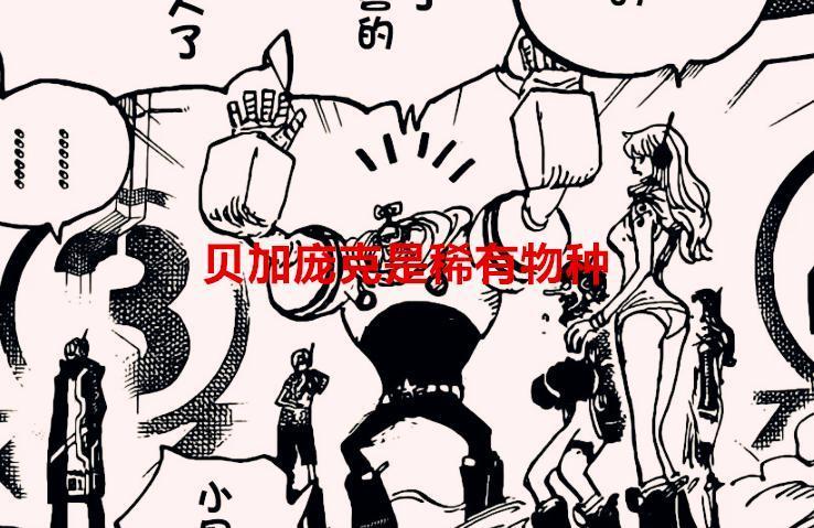 海贼王1065话解读：贝加庞克是最后的稀有种族，尾田又圆坑了