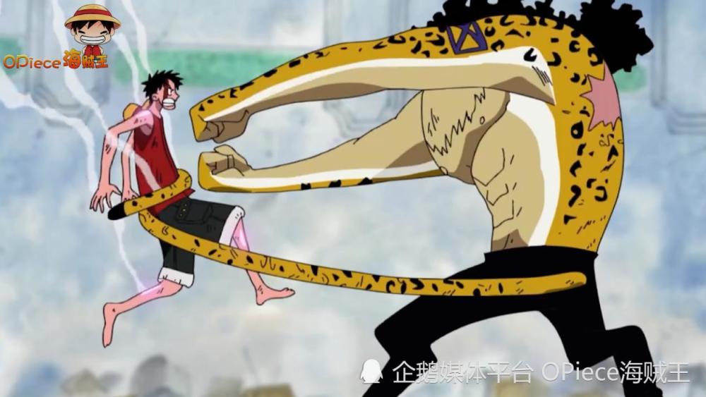 万物皆可幻兽种？海贼王动物系恶魔果实崛起！路飞王者归来（下篇）