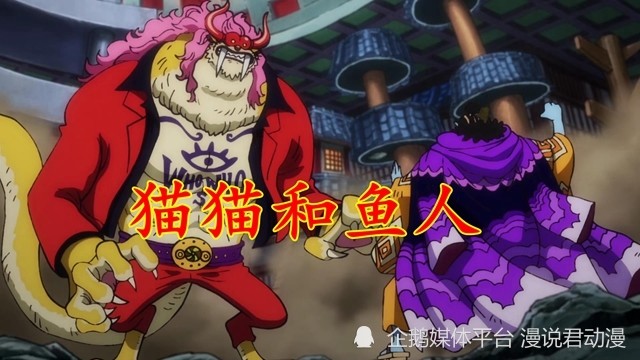 海贼王1039集：猫鱼一对一，福兹弗揭示，12年前橡胶果实被夺真相