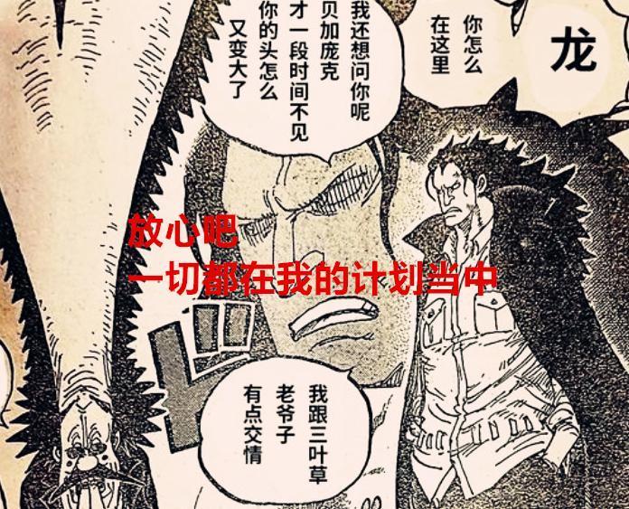 海贼王1066话：细思极恐，从香波地开始，草帽团就进入龙的计划了
