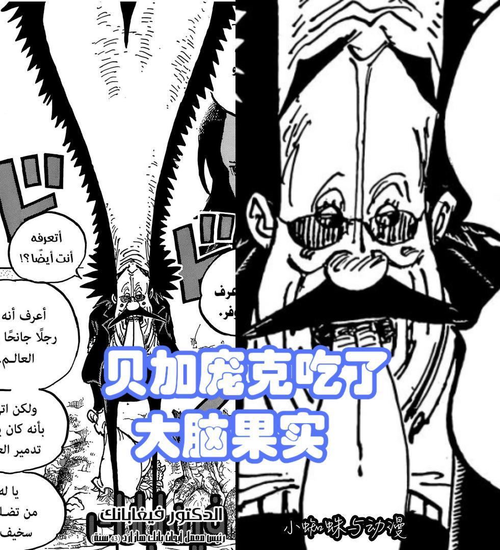 海贼王1067话：离谱，蛋头岛是贝加庞克用自己脑子做的，龙又登场