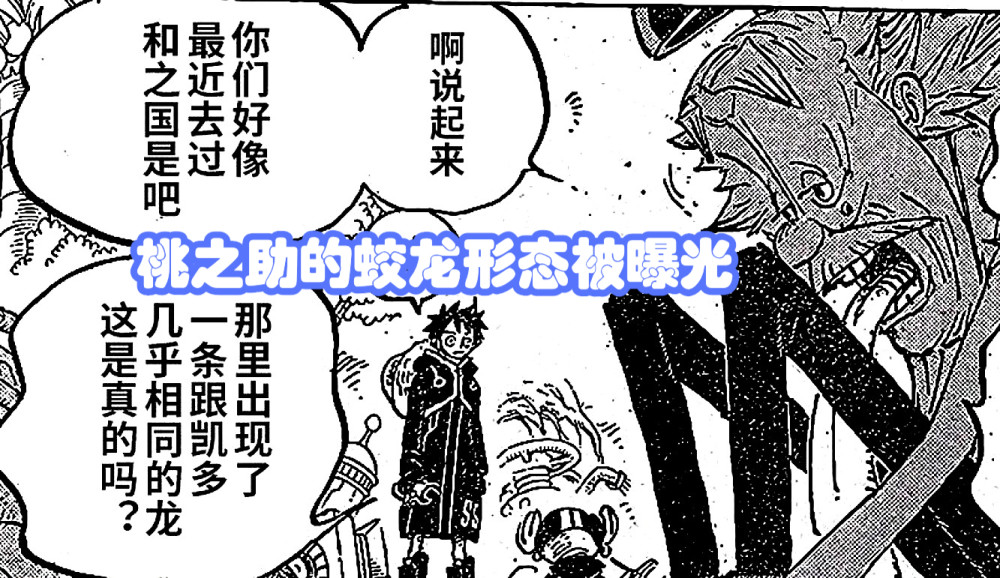 海贼王1067话：路飞叫贝加庞克给波妮下跪，桃之助是凯多的私生子