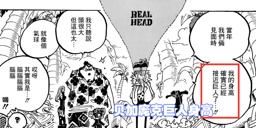 海贼王1067，贝加庞克被强迫症害了，革命军因此失去一批幻兽种果实